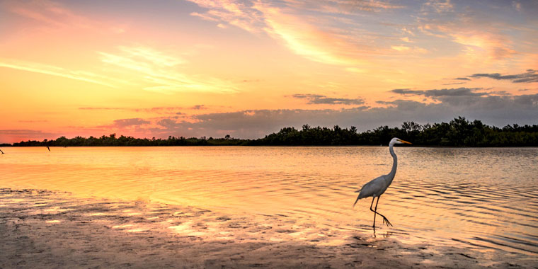 Vols abordables - Marco Island